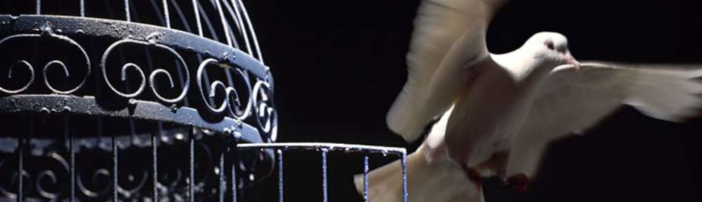 By BrokenMarionette_AngelicScars